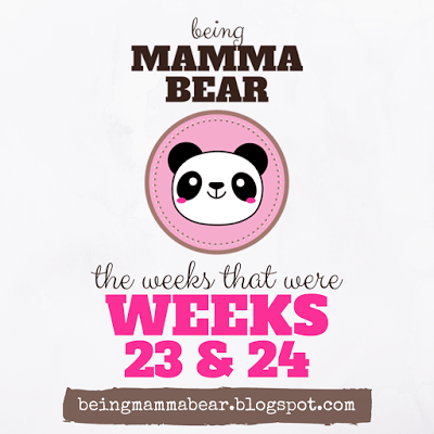 http://beingmammabear.blogspot.com/2016/06/the-weeks-that-were-weeks-23-24.html