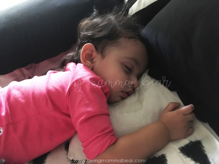 The Week That Was - 2018 Week 2 - Being Mamma Bear 5 Litte West Street