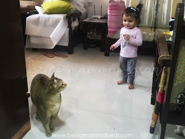 The Week That Was - 2018 Week 4 - Being Mamma Bear 6.jpeg