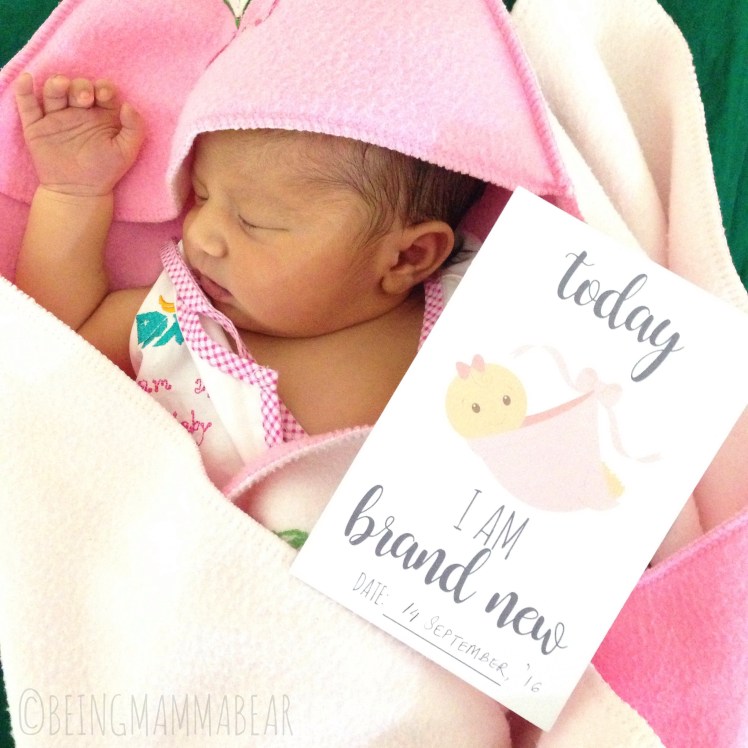 Processed with Rookie Cam